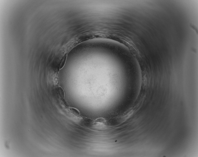 X0000099520285200805151533