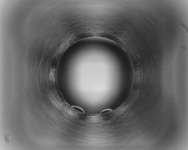 X0000099520286200805151533