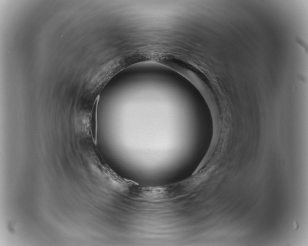 X0000099520288200805151533
