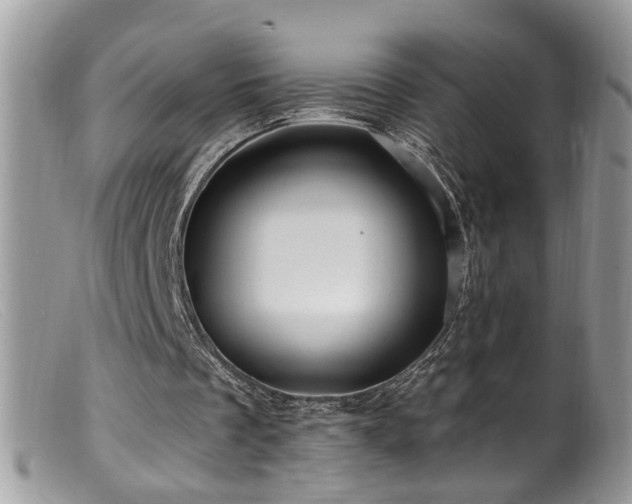 X0000099520289200805151532