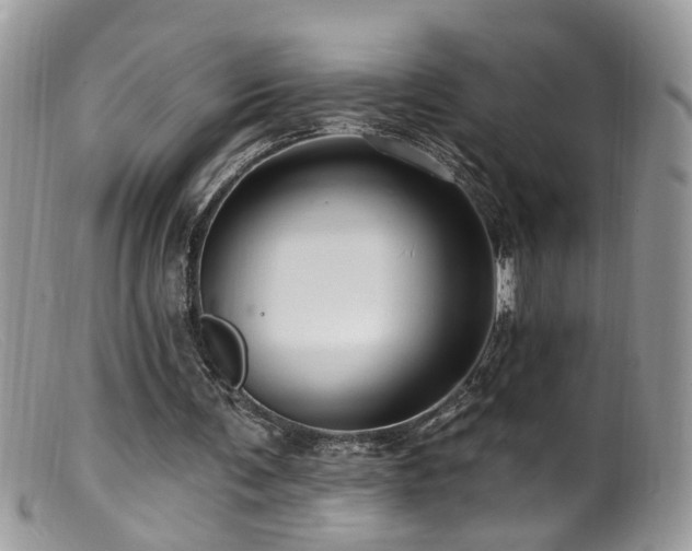X0000099520291200805151532