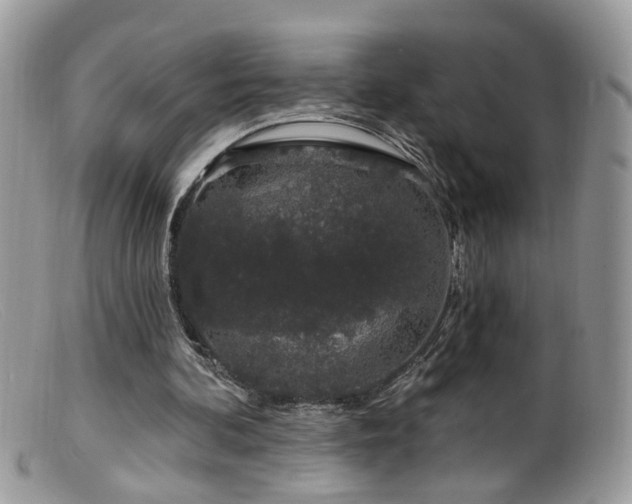 X0000099520292200805151532