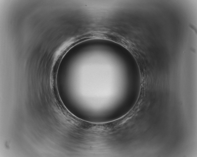 X0000099520294200805151532