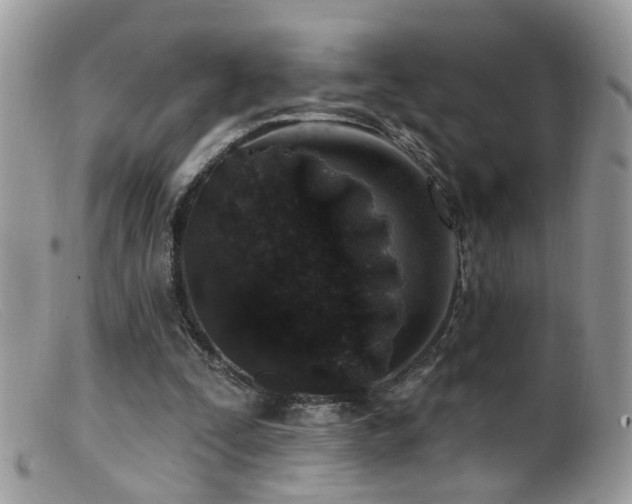 X0000099520295200805151532