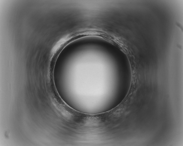 X0000099520296200805151532