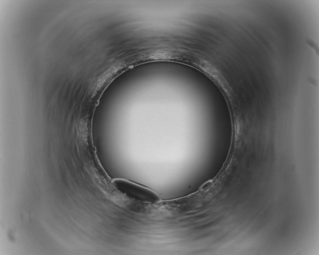 X0000099520297200805151532