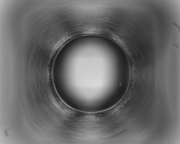 X0000099520298200805151532