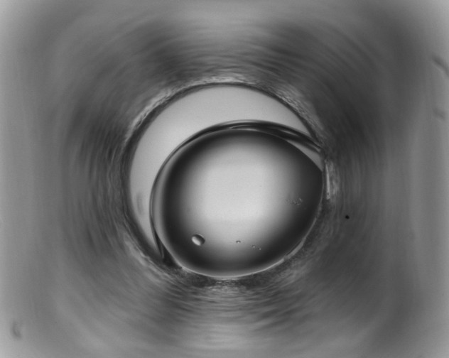X0000099520300200805151532