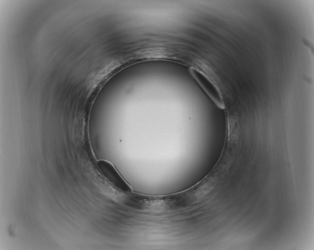 X0000099520301200805151532