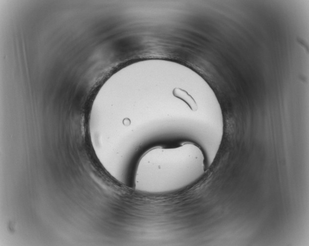 X0000099520302200805151532
