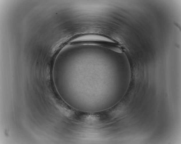 X0000099520303200805151532