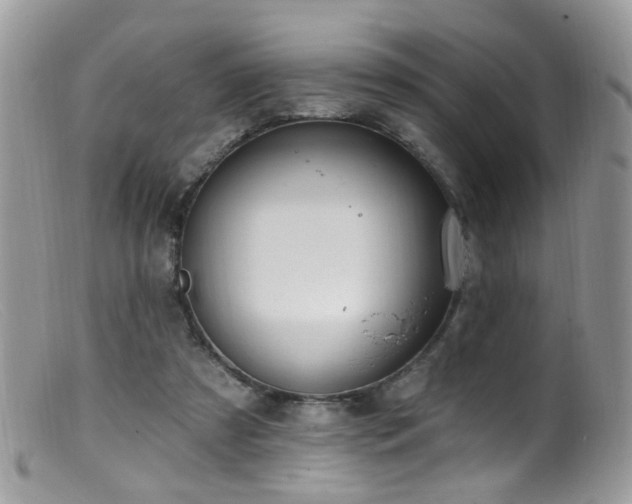 X0000099520305200805151532