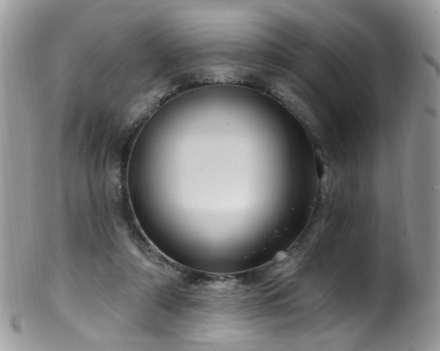 X0000099520306200805151532