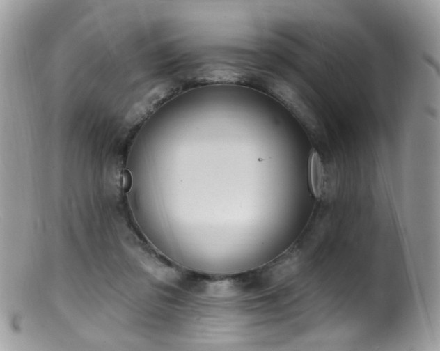 X0000099520309200805151532