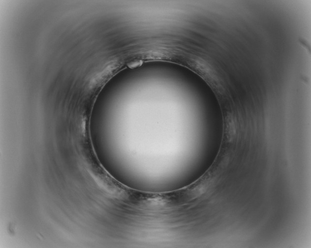 X0000099520310200805151532