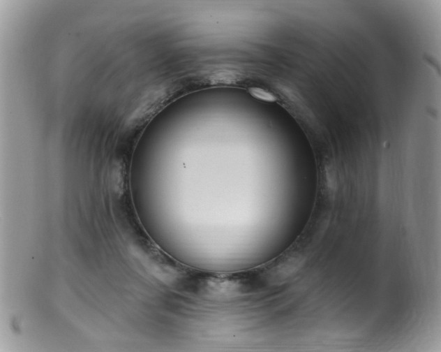 X0000099520311200805151532