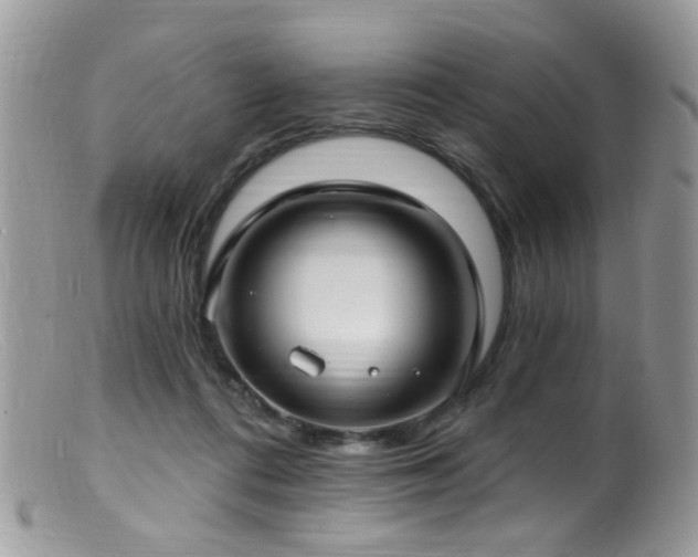 X0000099520312200805151532