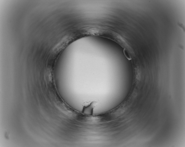X0000099520313200805151532