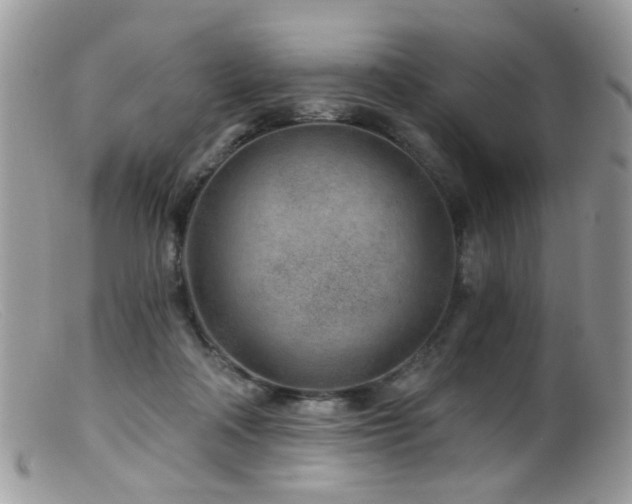 X0000099520314200805151532