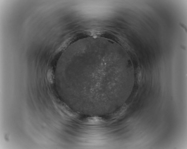 X0000099520316200805151532