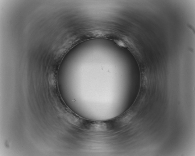 X0000099520317200805151532