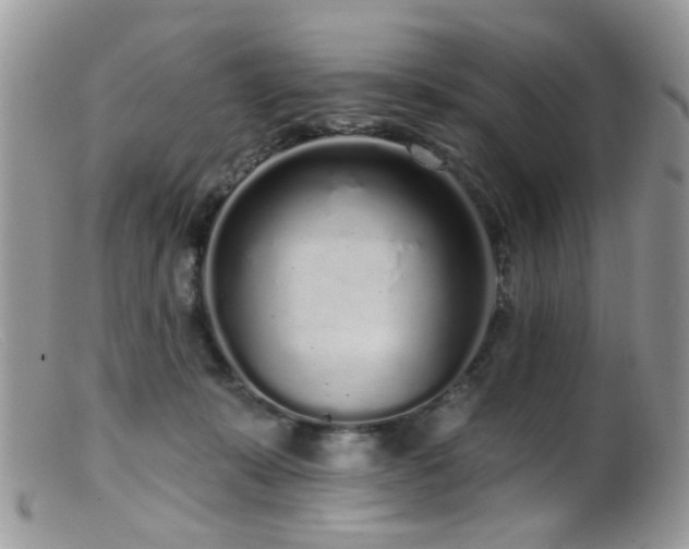 X0000099520319200805151532
