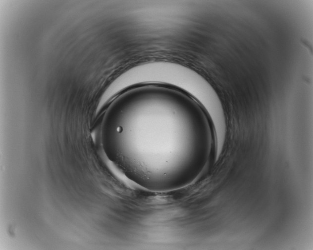 X0000099520320200805151532