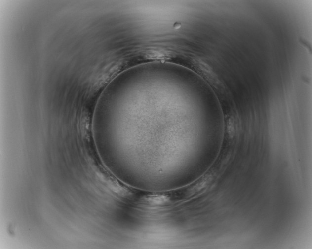 X0000099520322200805151532