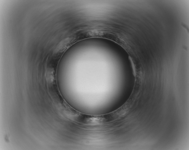 X0000099520323200805151532