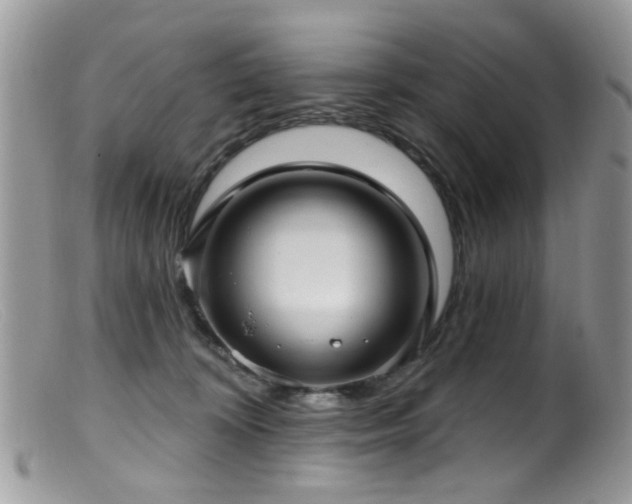 X0000099520324200805151532