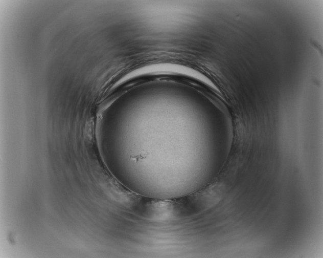 X0000099520325200805151532