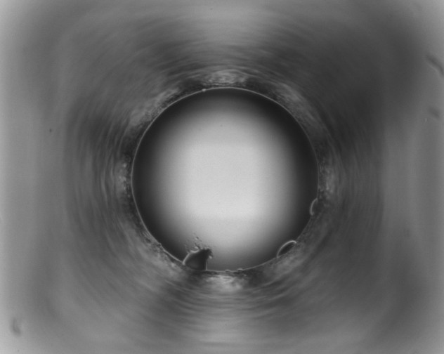 X0000099520326200805151532