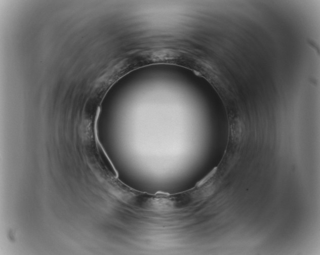 X0000099520327200805151532