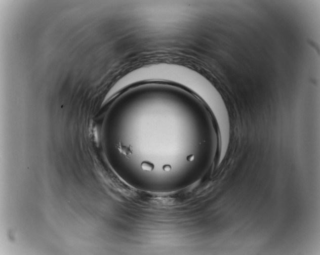X0000099520328200805151532
