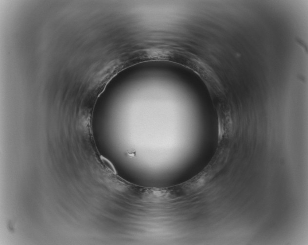 X0000099520329200805151532