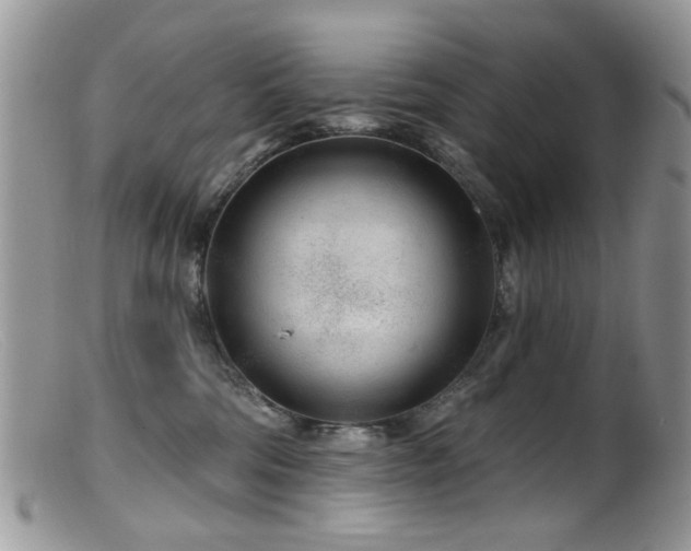 X0000099520330200805151531