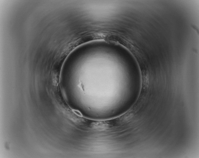X0000099520331200805151531