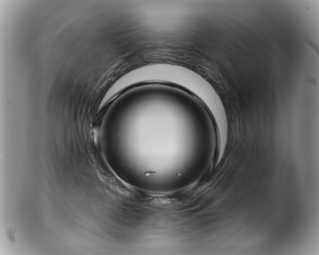 X0000099520332200805151531
