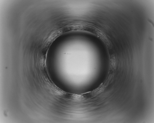 X0000099520333200805151531