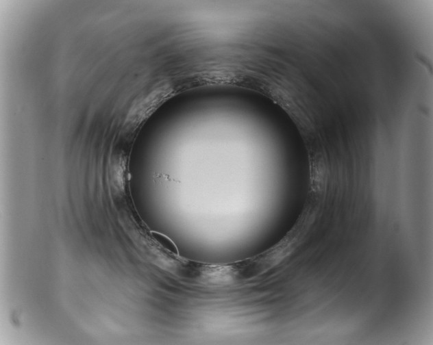 X0000099520334200805151531