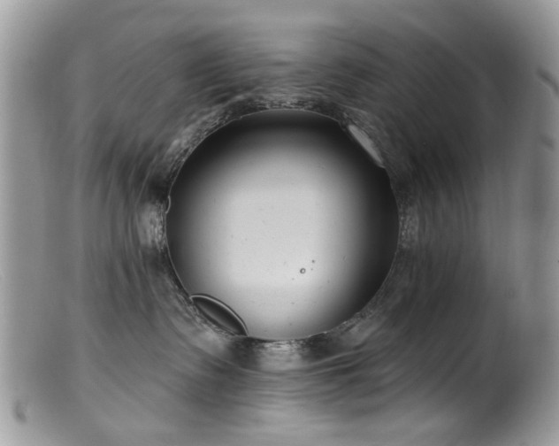 X0000099520335200805151531