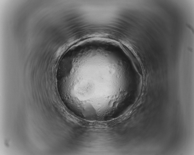 X0000099520337200805151530