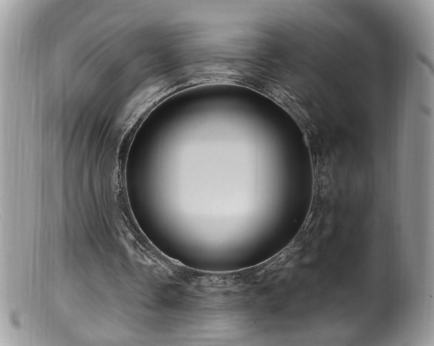 X0000099520338200805151530