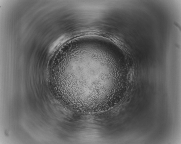X0000099520339200805151530