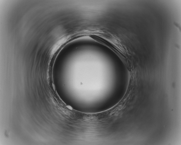 X0000099520340200805151531