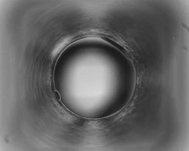 X0000099520341200805151531