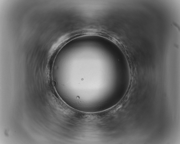 X0000099520343200805151531