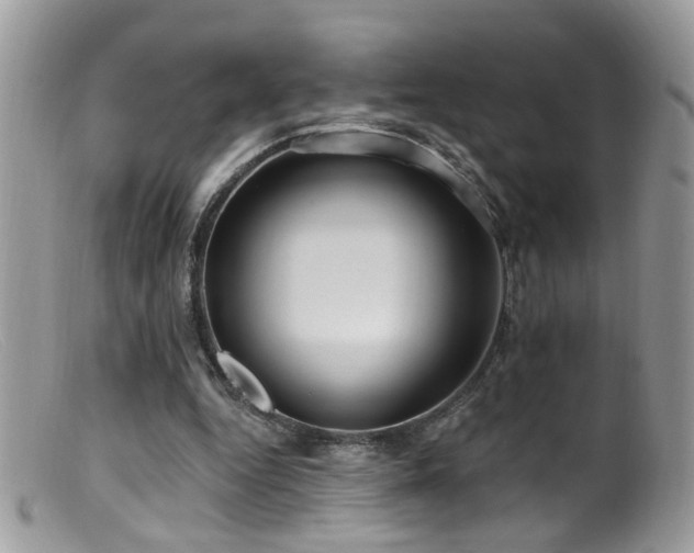 X0000099520344200805151531