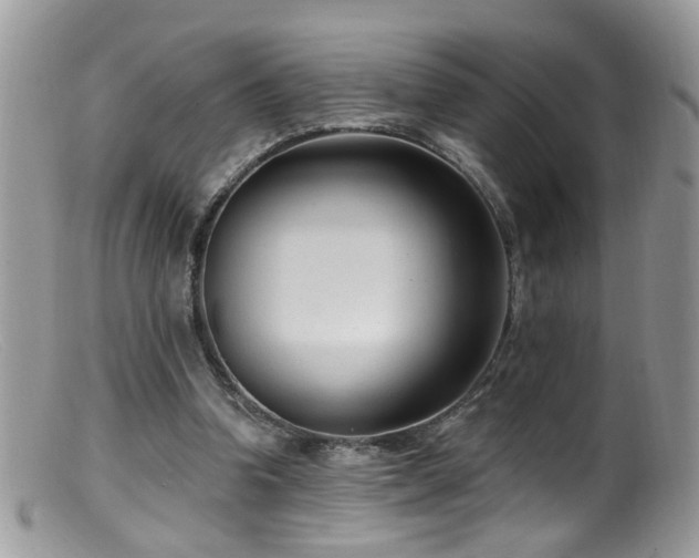 X0000099520346200805151531