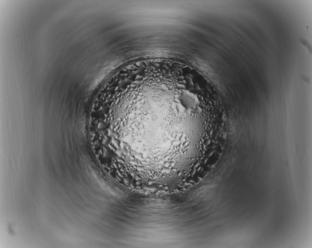 X0000099520347200805151531